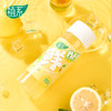 【果饮精选】植系HPP鲜柠蜂蜜水 夏日必囤小甜水 美白VC喝起来 15%鲜榨柠檬汁添加 一口惊艳 口感酸酸甜甜的 商品缩略图0
