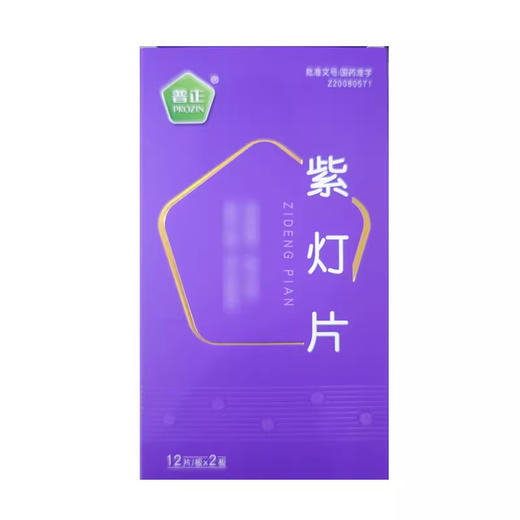 【普正】紫灯片 0.54g*24片/盒 商品图0