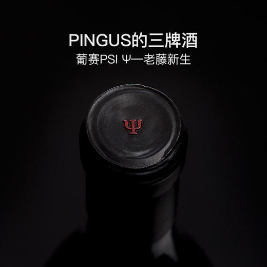 葡赛PSI干红葡萄酒Pingus PSI 商品图2