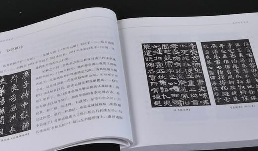 《我的写字生活》，16开平装，费新我著，中华书局2019年一版二印，171页，定价30，售价18元。 商品图7