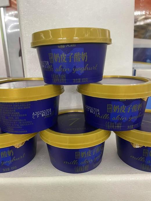 新疆天润奶皮子酸奶100g 商品图5