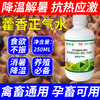 【禽畜抗应激常备，藿香正气水！】藿香正气水250ml宠物家禽家畜专用 藿香正气水降温解暑 防中暑-QA 商品缩略图0