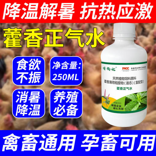 【禽畜抗应激常备，藿香正气水！】藿香正气水250ml宠物家禽家畜专用 藿香正气水降温解暑 防中暑-QA 商品图0