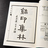 【绝版好书】《玺印集林》32开270页，2012年台文史哲据民国版初版，吴昌硕 黄宾虹 黄葆戉 童大年题序 商品缩略图3