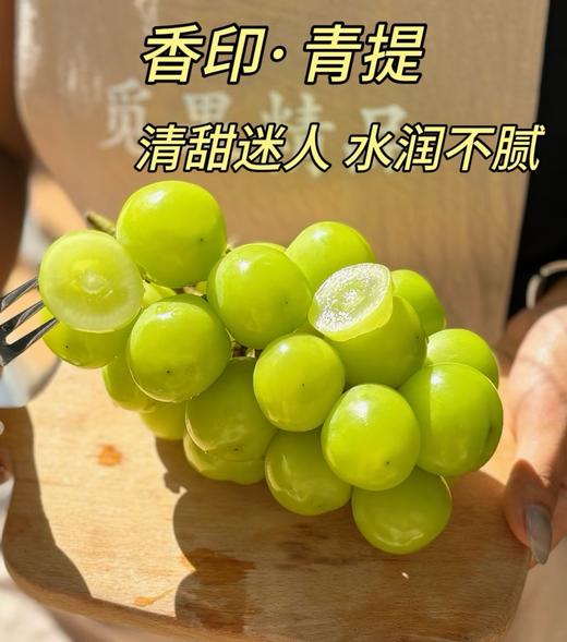 阳光玫瑰葡萄 | 香印青提 商品图0