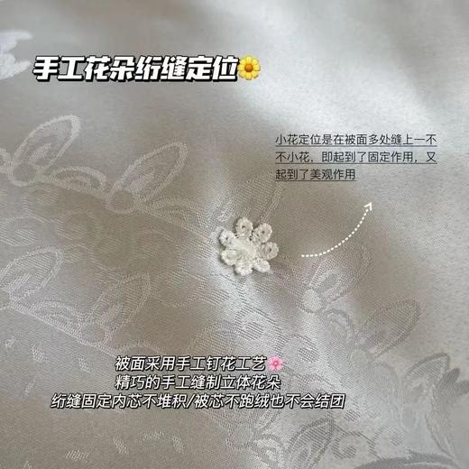 黄金丝蚕丝被，亲肤舒爽，冬暖夏凉，不是所有桑蚕丝都叫黄金蚕丝【G】 商品图4