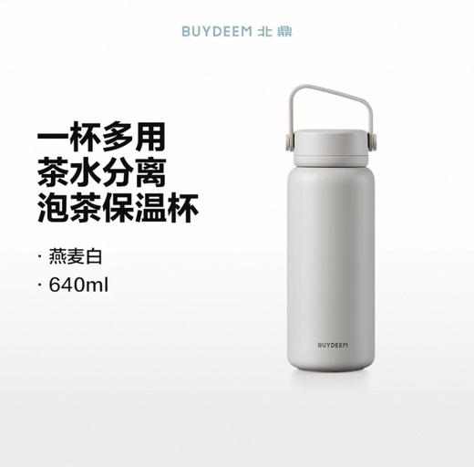 【专柜-北鼎】北鼎 TS300/A1泡茶保温杯茶水分离杯大容量水杯高颜值 浅杉绿 340ml 商品图3