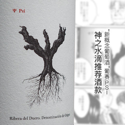 葡赛PSI干红葡萄酒Pingus PSI 商品图1