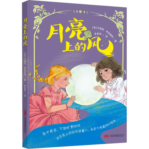 月亮上的风 商品图0