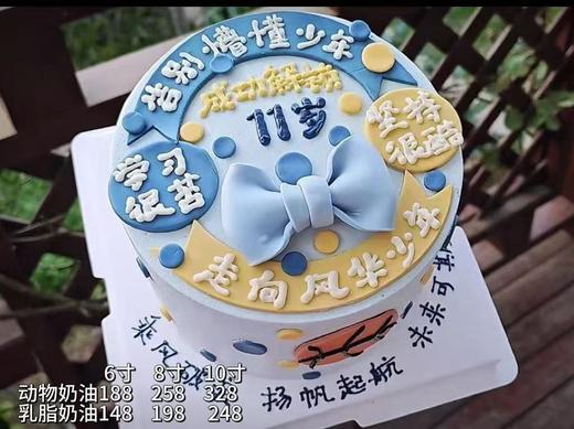 告别懵懂少年 走向风华少年 58 商品图0