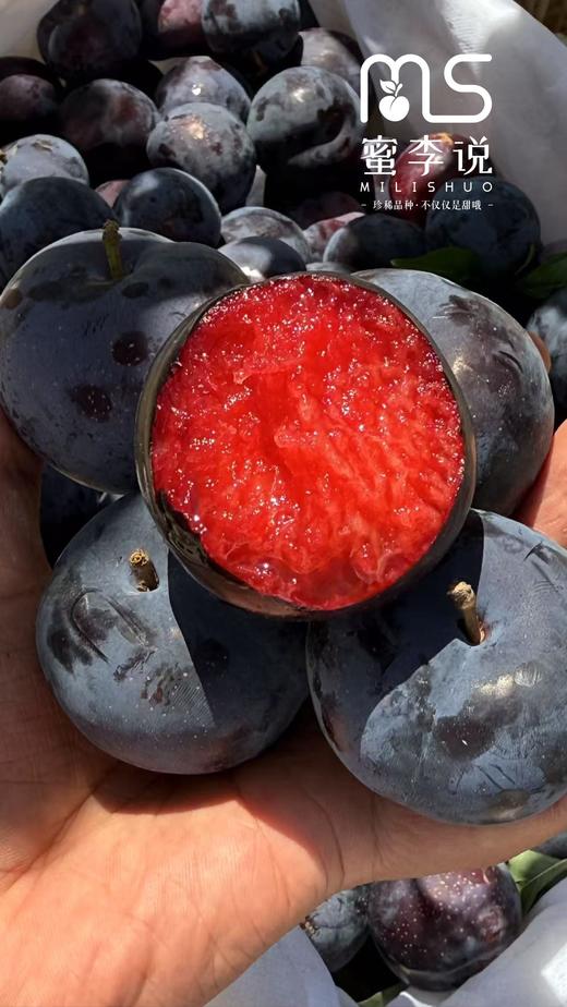 贵妃蜜李 商品图8