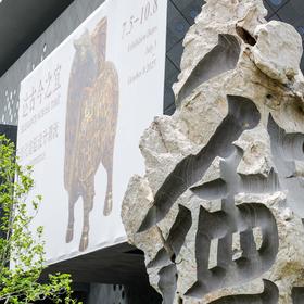嘉德教育 | 特邀专家“双展”导览