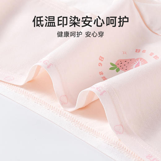 10-18岁5条A类精梳纯棉内裤 初中生7A抗菌全棉裆女生少女三角短裤 商品图1