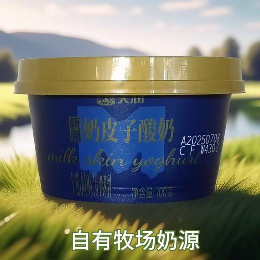 新疆天润奶皮子酸奶100g 商品图2