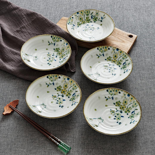 日本进口盘子菜盘家用新款陶瓷餐具日式釉下彩深盘碟子早餐盘千代源花见猫6.5英寸浅钵5件套装 商品图1