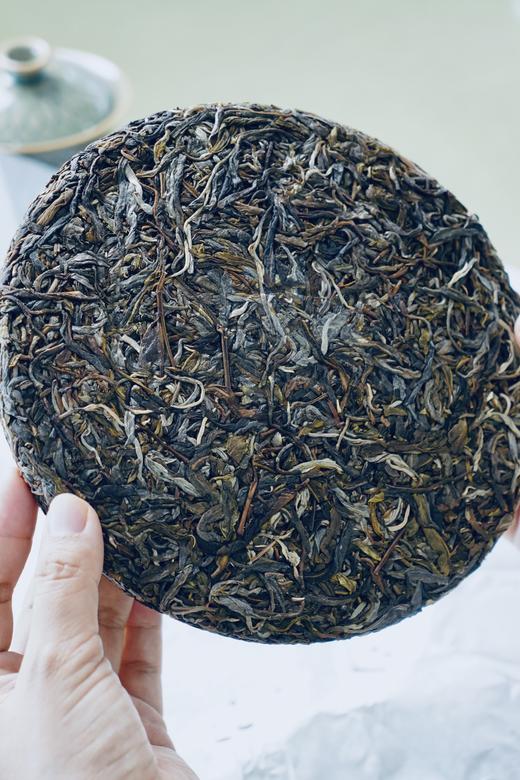 【2025年妖精塘】独家小众山头·妖冶茶性·自然灵韵 商品图2