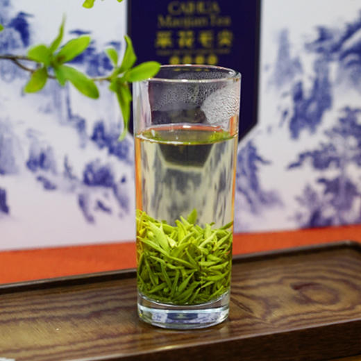 【2026绿茶】五峰绿茶采花毛尖 明前贡芽青花瓷礼盒160g 商品图3
