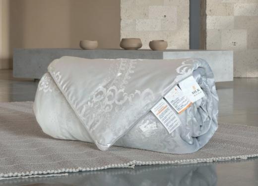 黄金丝蚕丝被，亲肤舒爽，冬暖夏凉，不是所有桑蚕丝都叫黄金蚕丝【G】 商品图1