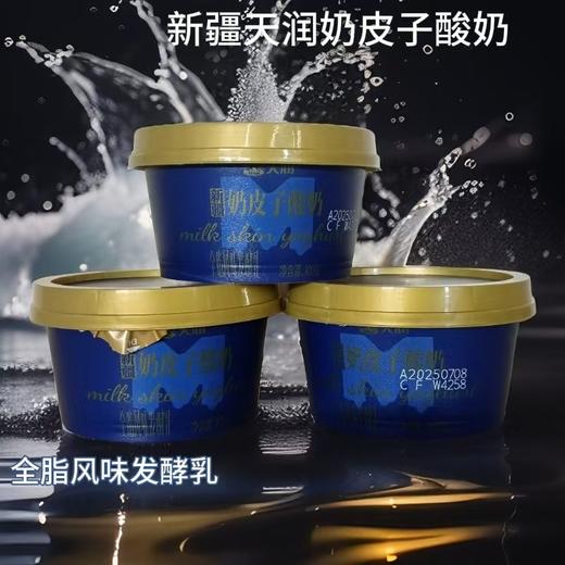 新疆天润奶皮子酸奶100g 商品图1
