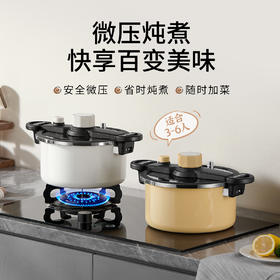 【超模君精选】德世朗6L钛珐琅微压营养快炖锅，一锅＝高压锅+汤锅+电饭煲，焖、煲、炖、煮样样行
