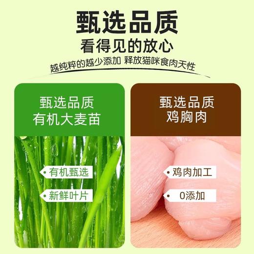 金多乐45%蛋白鱼油冻干猫草棒40g/50g/500g桶装 商品图2