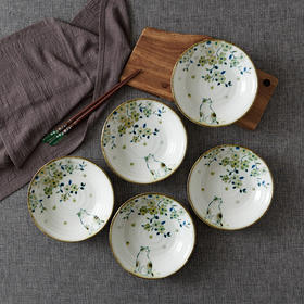 日本进口盘子菜盘家用新款陶瓷餐具日式釉下彩深盘碟子早餐盘千代源花见猫6.5英寸浅钵5件套装