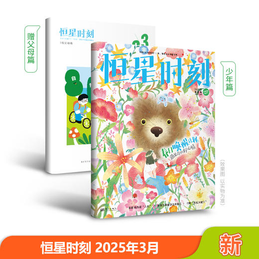 恒星时刻2025年半年刊 （全12册）随机不指定 商品图3