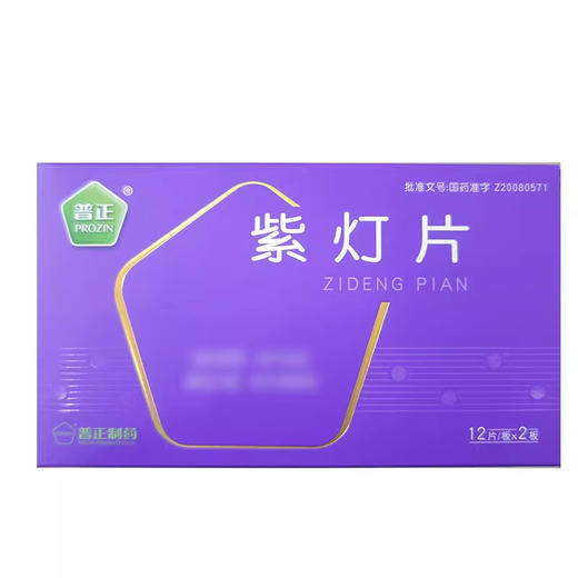 【普正】紫灯片 0.54g*24片/盒 商品图1