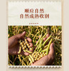 生态黄豆豆皮丝 自有留老品种黄豆 豆香浓郁 无添加*山西孝和林基地直发 商品缩略图3