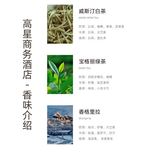 500ML精油装链接 商品图4