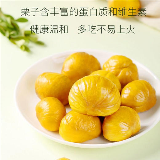 100g三只松鼠美栗甘栗仁 商品图1