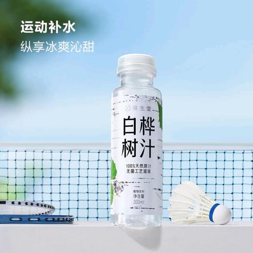 养生堂白桦树汁300mLx15 商品图4