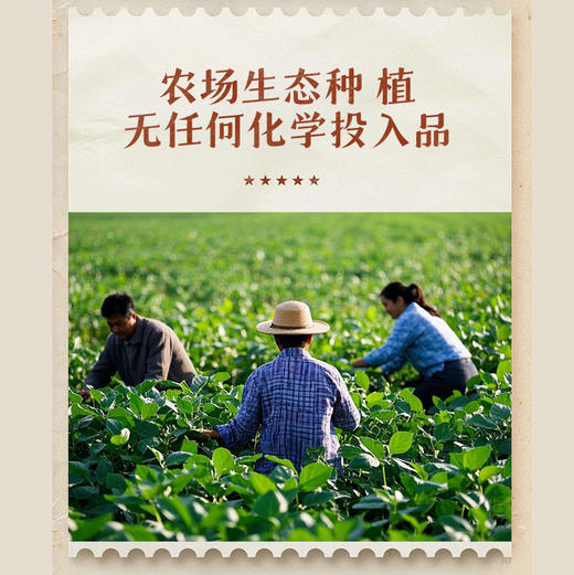 生态黄豆豆皮丝 自有留老品种黄豆 豆香浓郁 无添加*山西孝和林基地直发 商品图2