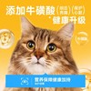 宽福（KUANFU）混合四拼猫条零食成猫幼猫猫湿粮鸡肉补水排毛营养 14g 商品缩略图1