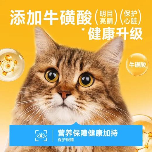 宽福（KUANFU）混合四拼猫条零食成猫幼猫猫湿粮鸡肉补水排毛营养 14g 商品图1
