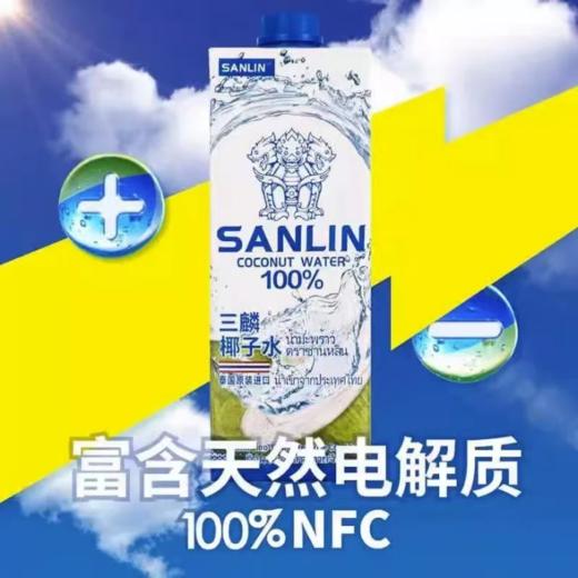 三麟椰子水（1L）-22221124 商品图0