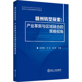赣州转型探索:产业革新与区域融合的策略视角