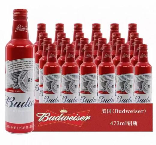 百威啤酒美国进口（473ml） 商品图0
