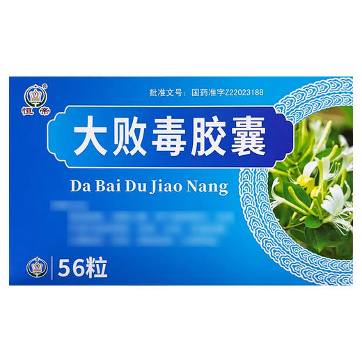 【恒帝】大败毒胶囊 0.5g*56粒/盒 商品图0