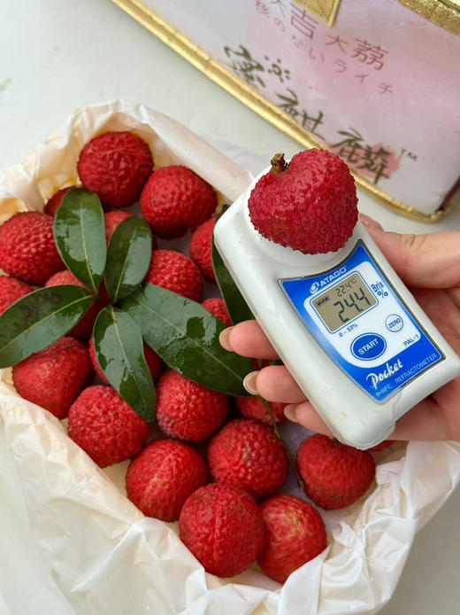 荔枝届的天花板 蜜麒麟冰荔荔枝 也是土豪们的“宾利”荔枝 果肉晶莹剔透如冰淇淋搬细腻无渣，果皮色泽通体红非常漂亮 果肉剔透犹如琼脂 超新鲜的表现 甜度完美非常适口 ，2.5斤/箱 商品图3