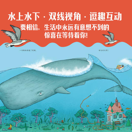 我的花园有大海+你为什么不开花 商品图6