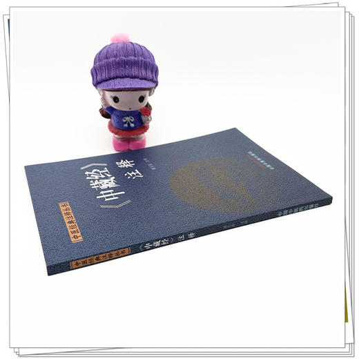 《中藏经》注释 康玉春 注释 中国中医药出版社 中医经典注释丛书 商品图2