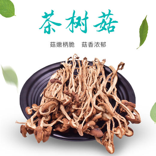 鑫碧源江西茶树菇128g 商品图1
