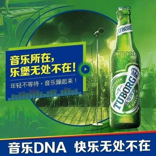 Tuborg/乐堡啤酒 嘉士伯啤酒易拉环盖瓶装495ml/瓶 商品图2
