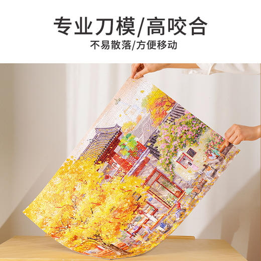 TOi图益-潮玩拼图抬头看树系列-胡同来杏-1000片-分包款 商品图3