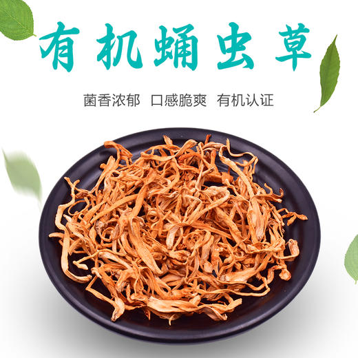 鑫碧源有机蛹虫草80g 商品图1