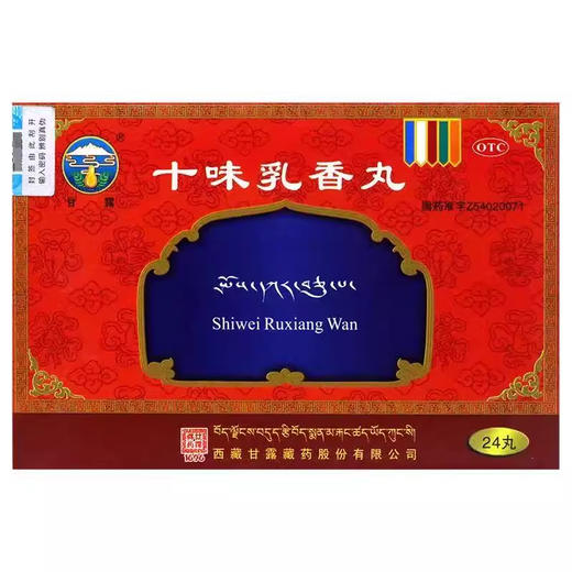 甘露 十味乳香丸 24丸 商品图0