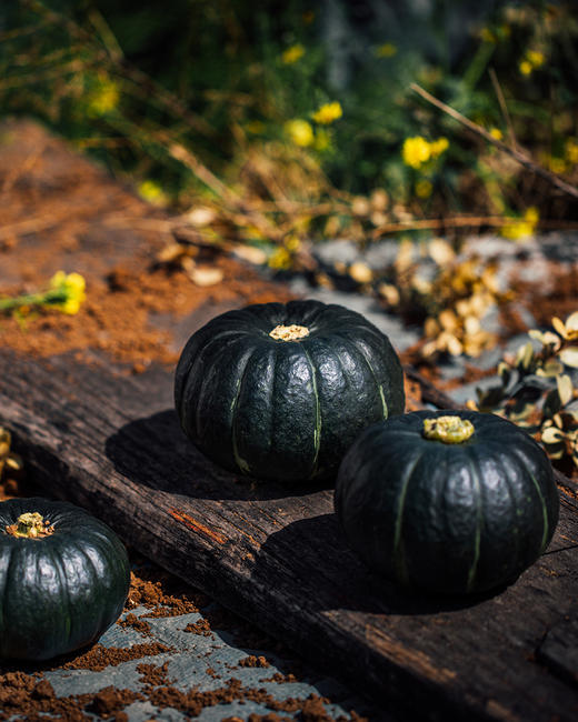 【宜昌】山水龙城贝贝南瓜净重5斤（4-8个） 商品图2