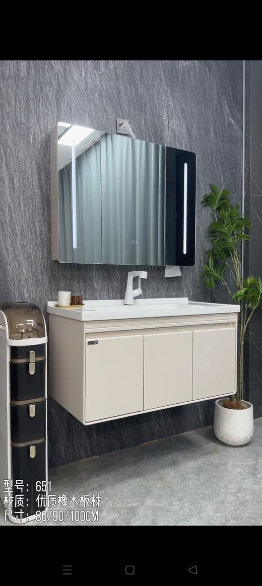 YX 浴室柜 651-80 三包装 配50陶瓷盆 商品图0