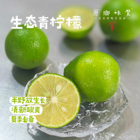 【预售，预计6.30开始发货】生态青柠檬（基地直发-顺丰包邮） | 3斤/9斤装，来自云南元江，生产者：张扬【合作生产，公平贸易】